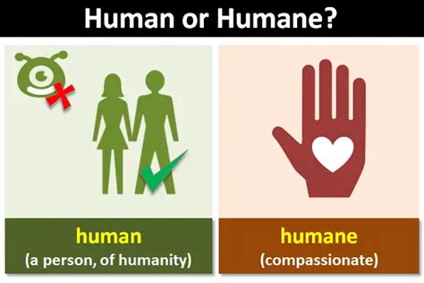 humane meanign|humane adjective .